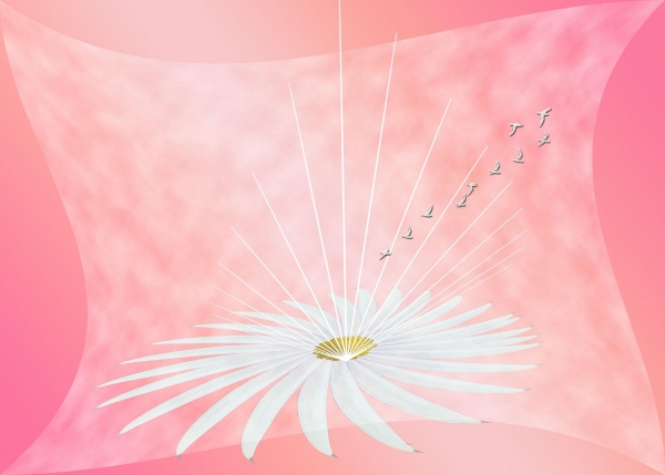 Creation of my flower: Step 7